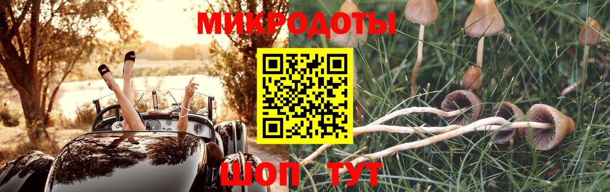 Павлово  Галлюциногенные грибы мухоморы  Галлюциногенные грибы Cubensis  Вход с VPN 